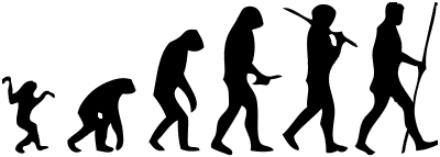 Human evolution scheme.svg